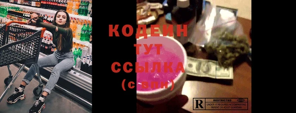 спиды Каменка