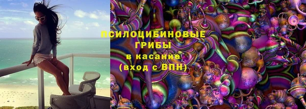 спиды Каменка
