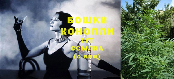 спиды Каменка
