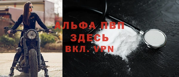 спиды Каменка