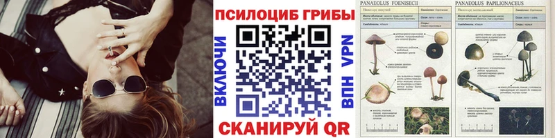 Псилоцибиновые грибы Magic Shrooms  Купить закладки  Игра 
